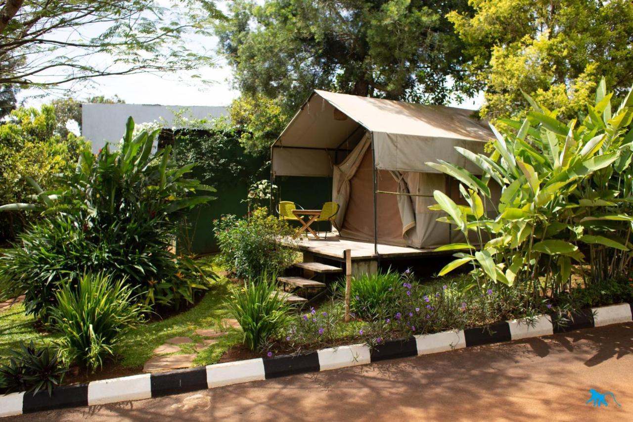 Bluemonkey Guesthouse Entebbe Exterior photo